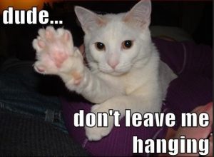 dont leave me hanging meme cat
