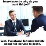 why get a job meme job rejection letter email
