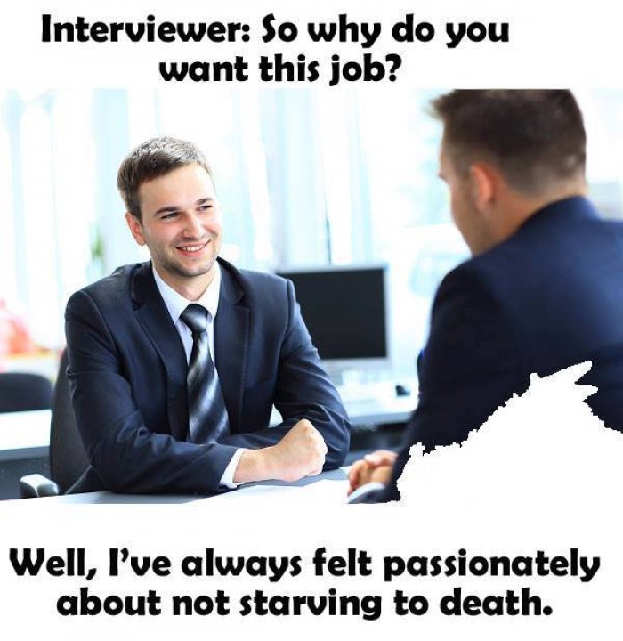 why get a job meme job rejection letter email